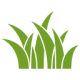 grass